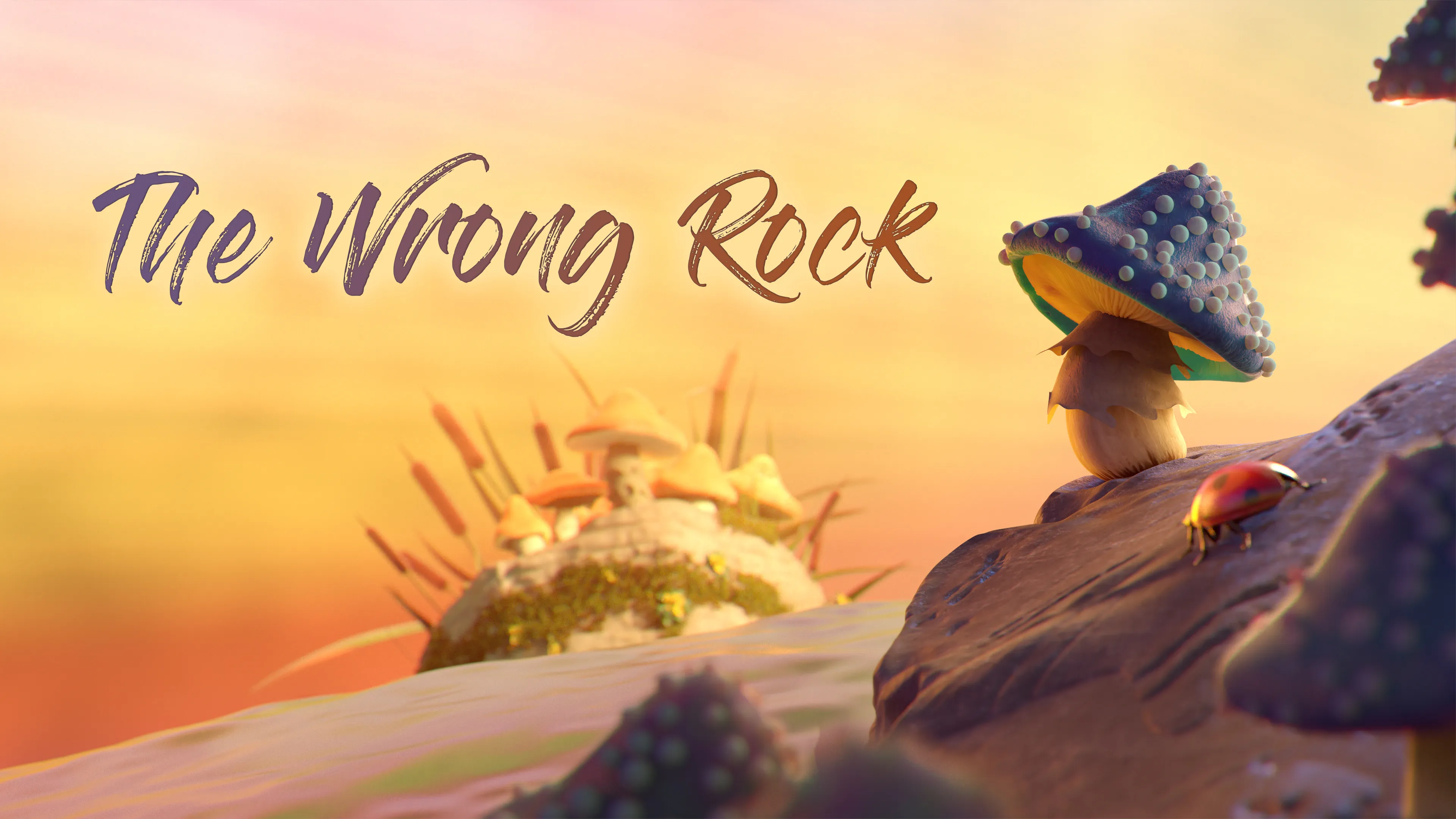The Wrong Rock poster